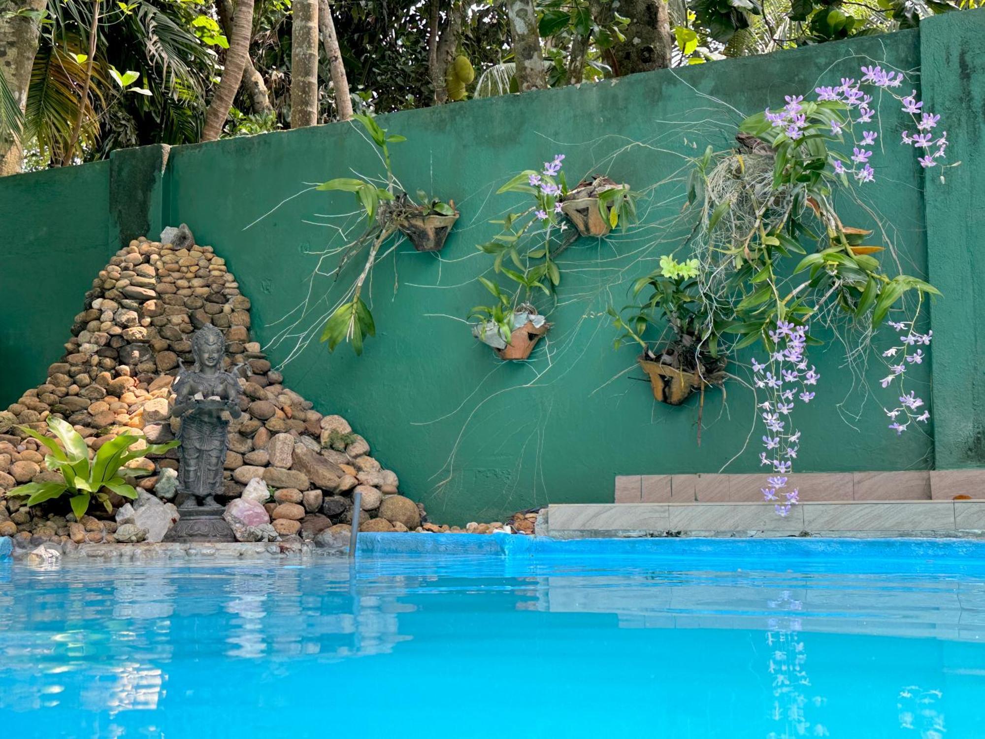 Swastha Ayurveda Villa ヒッカドゥワ エクステリア 写真