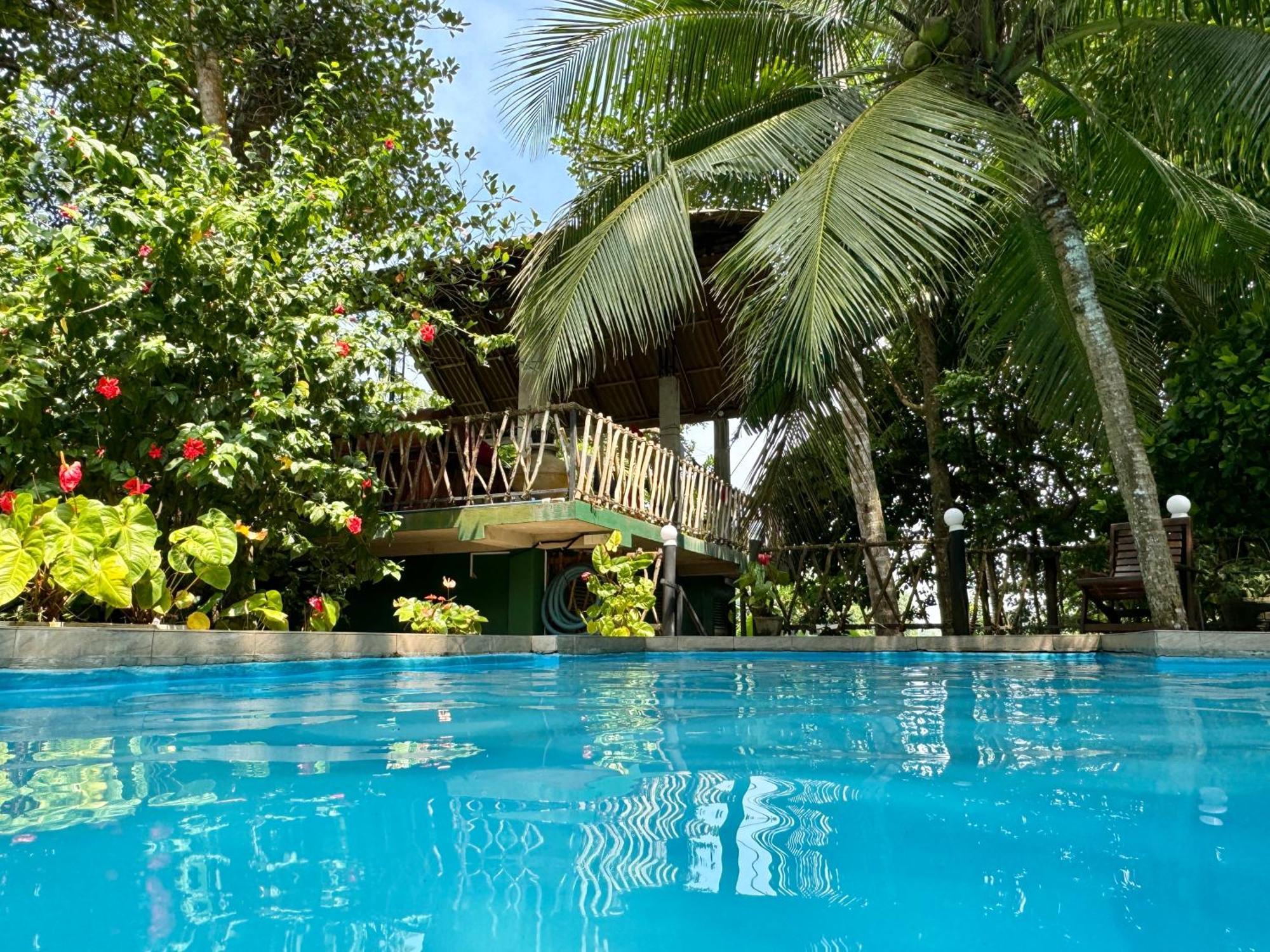 Swastha Ayurveda Villa ヒッカドゥワ エクステリア 写真