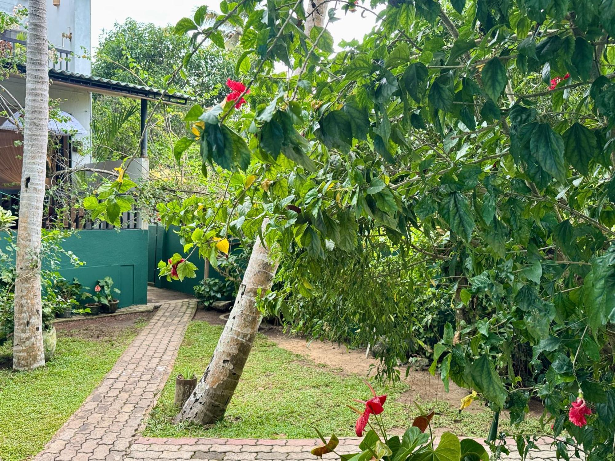 Swastha Ayurveda Villa ヒッカドゥワ エクステリア 写真